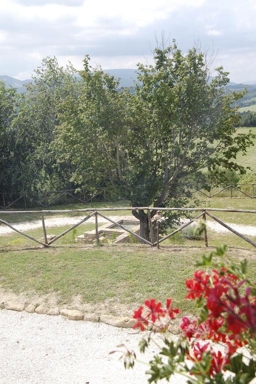 Agriturismo Spa Serpanera Sarnano Exterior foto